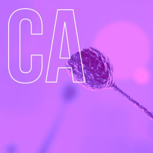 Calibrador CC