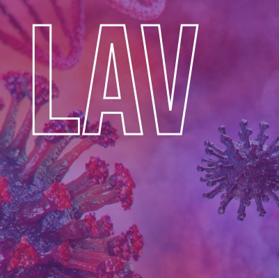Lavador